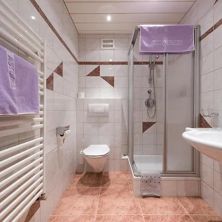 Gæstehus Fruehstueckspension Astoria 3*